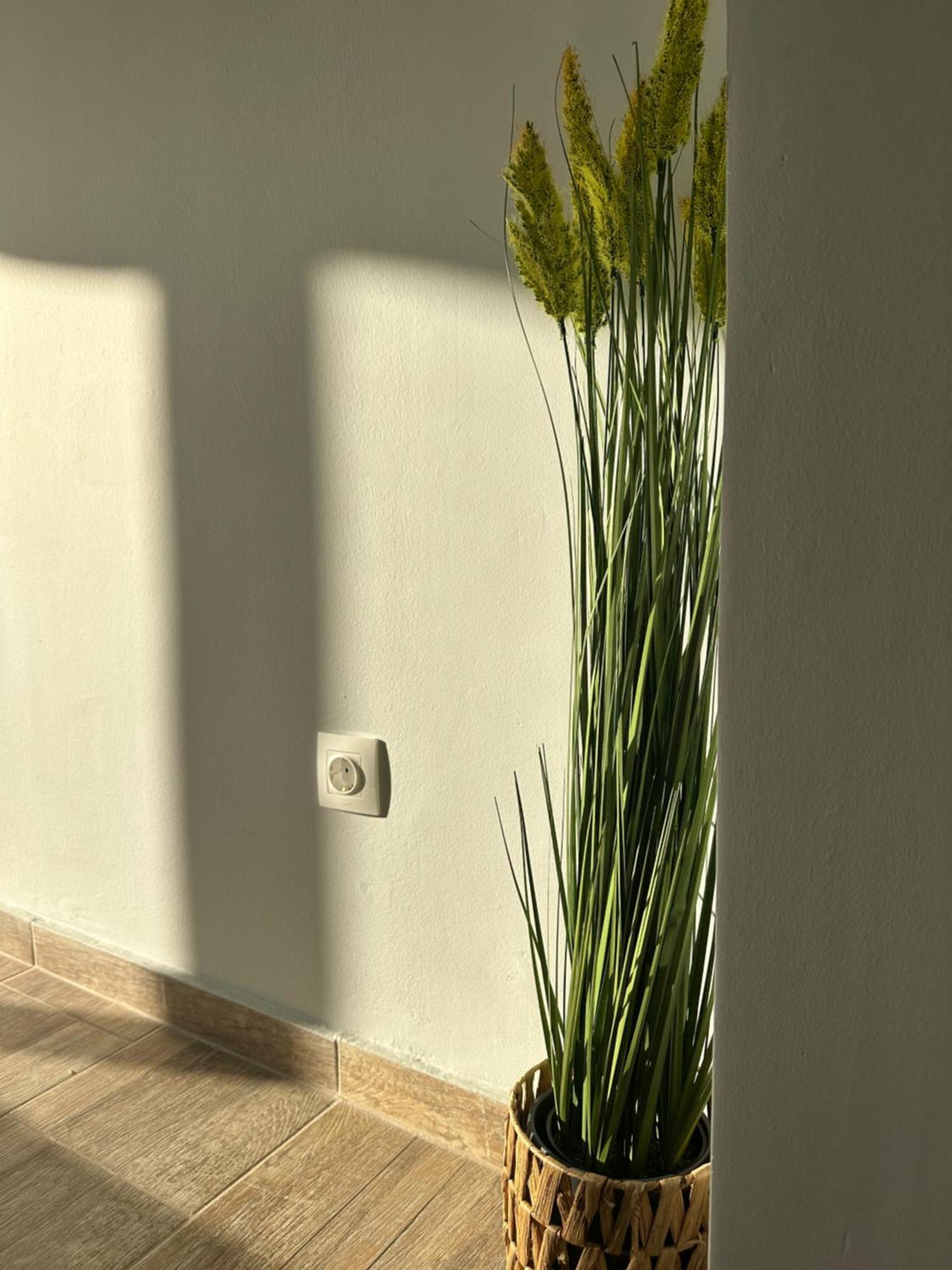 Glyfada Sunset Seaview Cozy Apartment A Atina Dış mekan fotoğraf